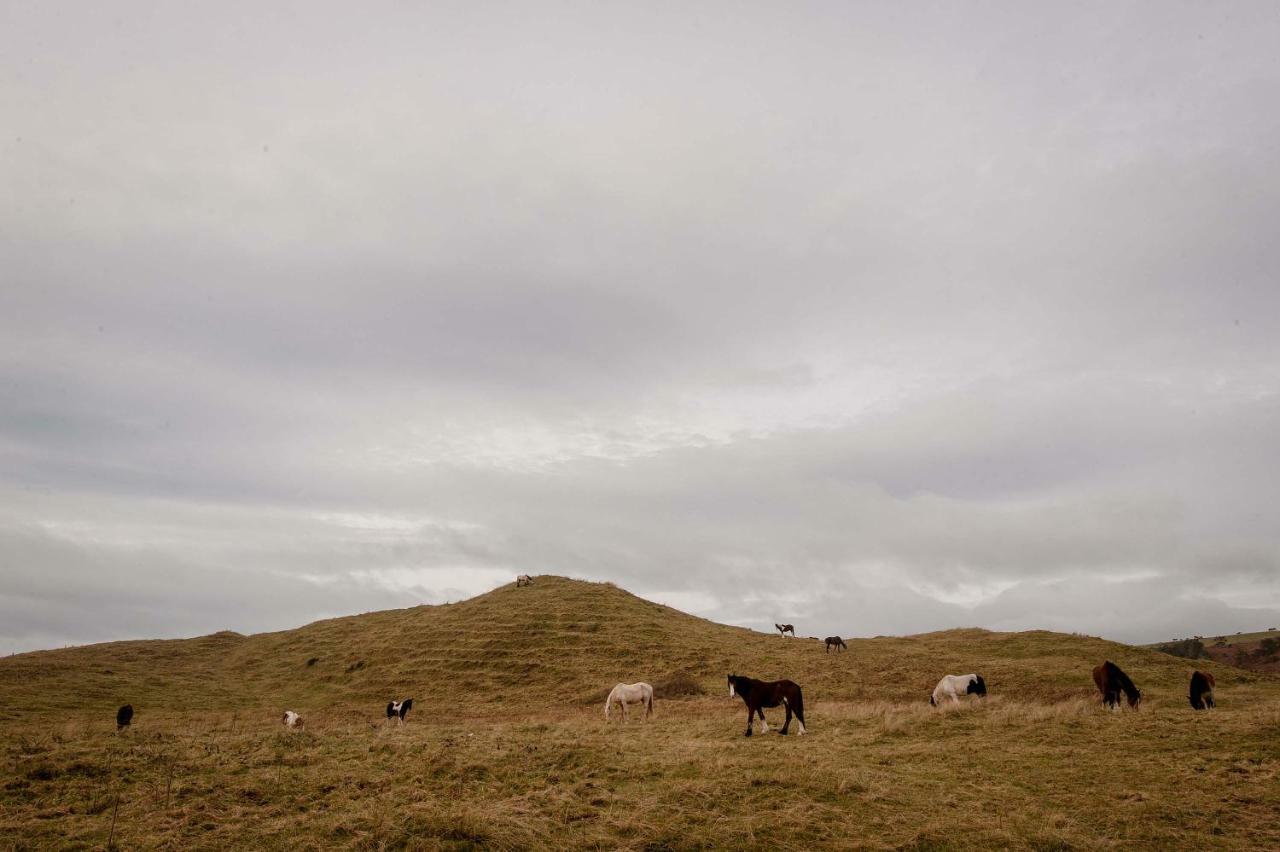 The Wild Atlantic Hideaway Clonakilty